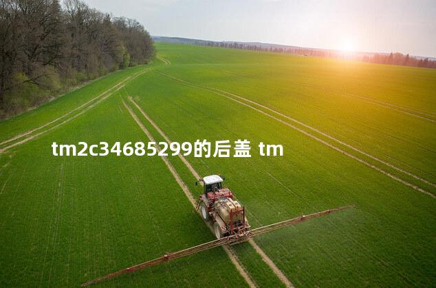 tm2c34685299的后盖 tm2c34685299浪琴手表后盖